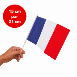 Drapeau France 15 cm par 21 cm