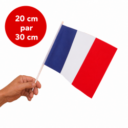 Drapeau France 20 cm par 30 cm