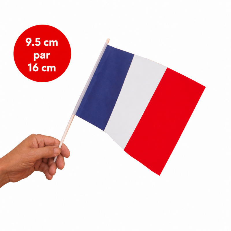 Drapeau France 9.5 cm par 16 cm